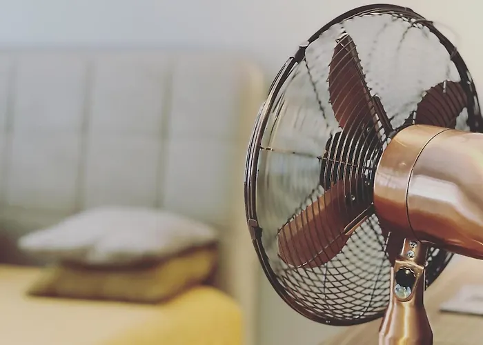 Cozy Design In A Classic Style * Riga