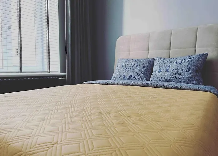 Cozy Design In A Classic Style Riga