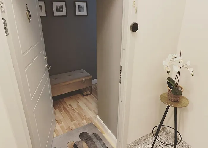 Cozy Design In A Classic Style * Riga